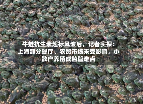 牛蛙抗生素超标风波后	，记者实探：上海部分餐厅、农贸市场未受影响，小散户养殖成监管难点-第3张图片