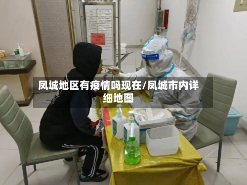凤城地区有疫情吗现在/凤城市内详细地图
