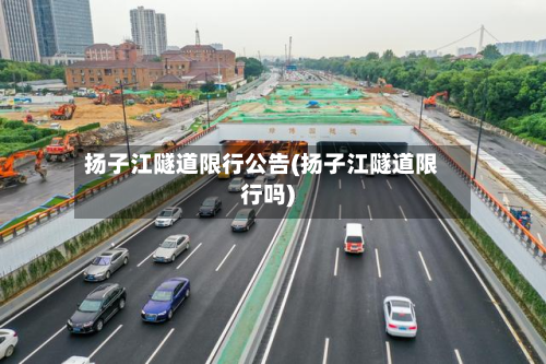 扬子江隧道限行公告(扬子江隧道限行吗)-第3张图片