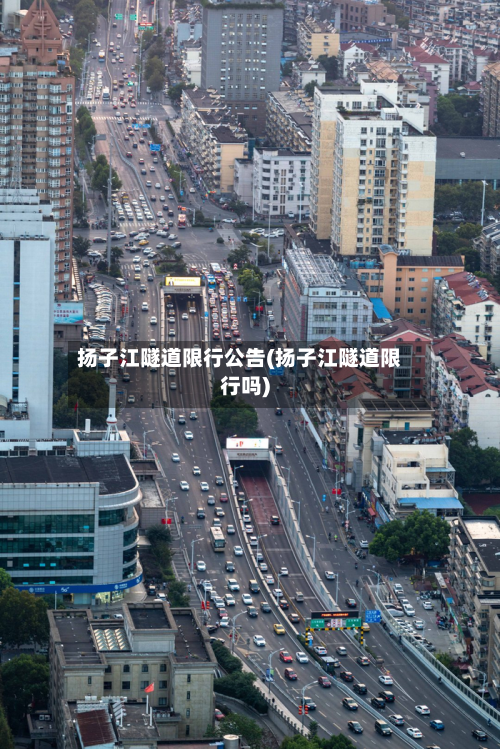 扬子江隧道限行公告(扬子江隧道限行吗)-第2张图片