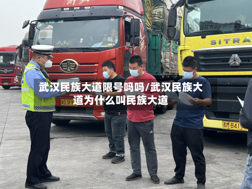 武汉民族大道限号吗吗/武汉民族大道为什么叫民族大道