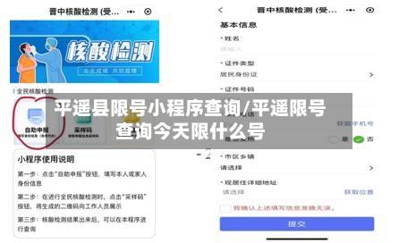 平遥县限号小程序查询/平遥限号查询今天限什么号