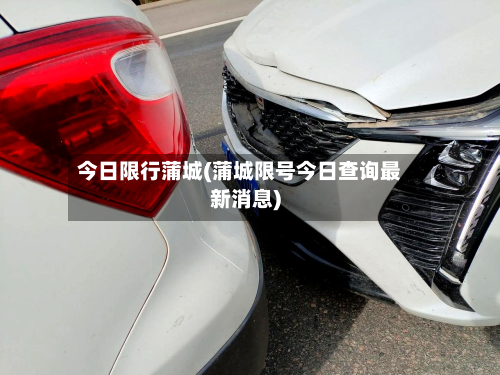 今日限行蒲城(蒲城限号今日查询最新消息)-第2张图片