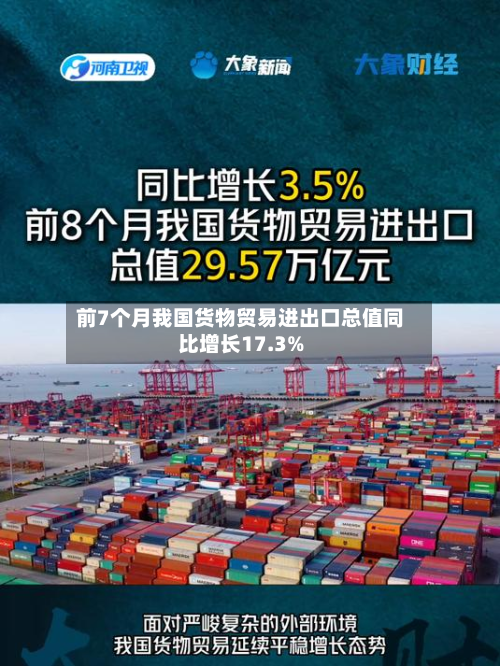前7个月我国货物贸易进出口总值同比增长17.3%