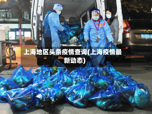 上海地区头条疫情查询(上海疫情最新动态)-第3张图片