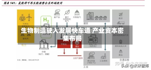 生物制造驶入发展快车道 产业资本密集布局-第2张图片