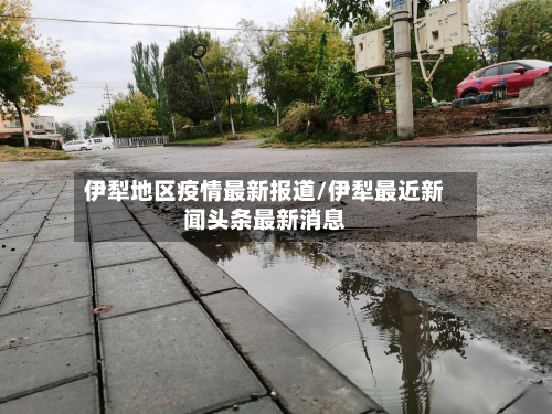 伊犁地区疫情最新报道/伊犁最近新闻头条最新消息-第2张图片