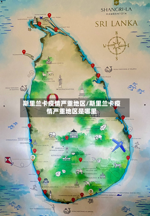 斯里兰卡疫情严重地区/斯里兰卡疫情严重地区是哪里-第3张图片