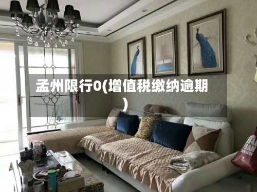 孟州限行0(增值税缴纳逾期)-第2张图片