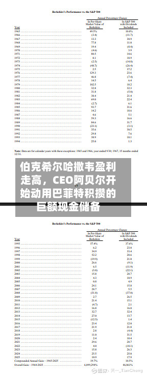 伯克希尔哈撒韦盈利走高，CEO阿贝尔开始动用巴菲特积攒的巨额现金储备-第1张图片