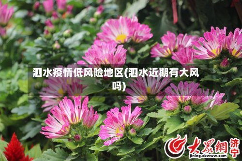 泗水疫情低风险地区(泗水近期有大风吗)-第2张图片