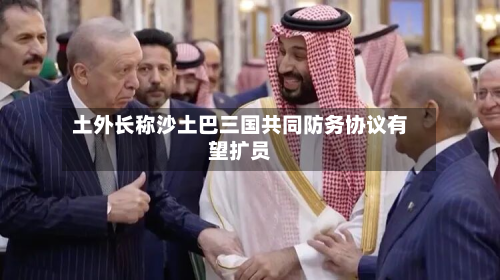 土外长称沙土巴三国共同防务协议有望扩员
