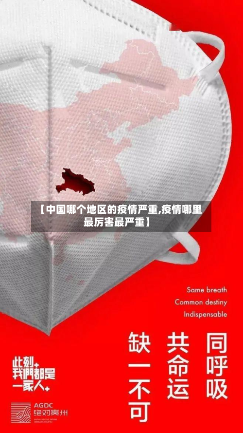 【中国哪个地区的疫情严重,疫情哪里最厉害最严重】