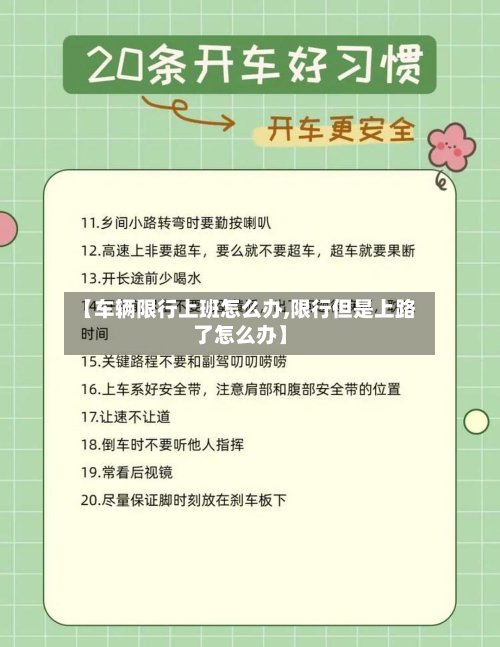 【车辆限行上班怎么办,限行但是上路了怎么办】-第2张图片