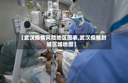【武汉疫情风险地区图表,武汉疫情封城区域地图】-第2张图片