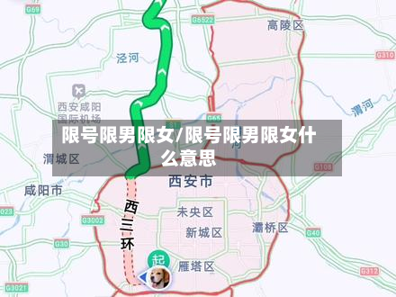 限号限男限女/限号限男限女什么意思