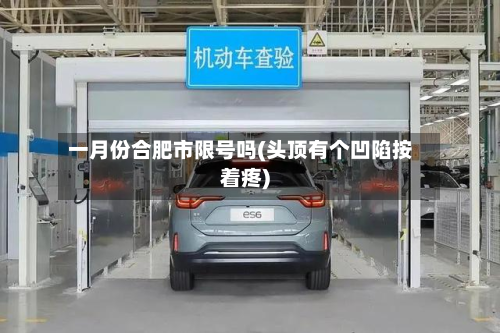 一月份合肥市限号吗(头顶有个凹陷按着疼)