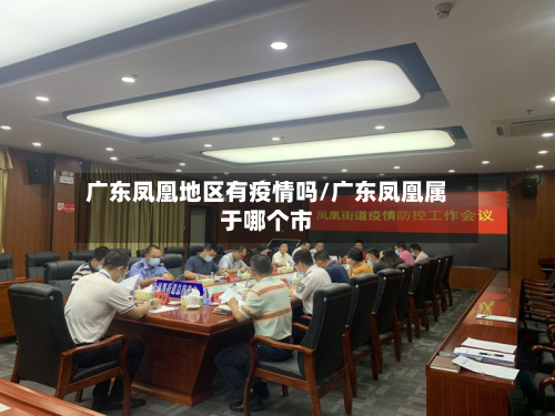广东凤凰地区有疫情吗/广东凤凰属于哪个市-第2张图片