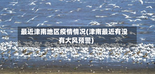 最近津南地区疫情情况(津南最近有没有大风预警)