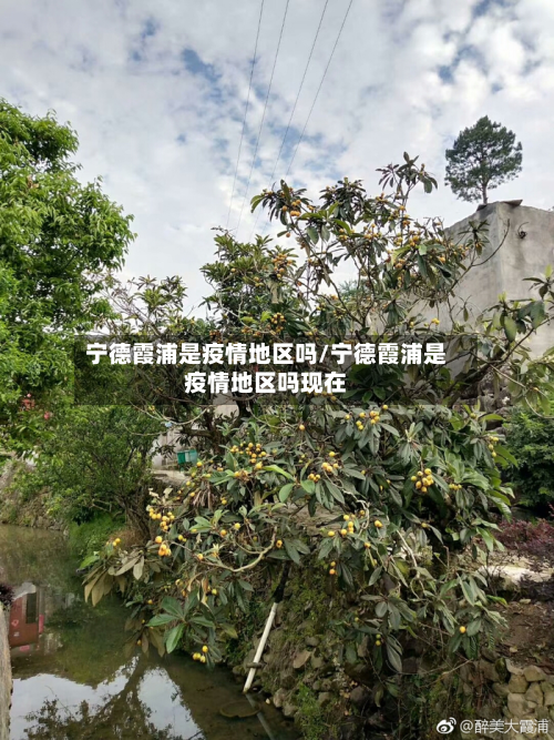 宁德霞浦是疫情地区吗/宁德霞浦是疫情地区吗现在-第3张图片