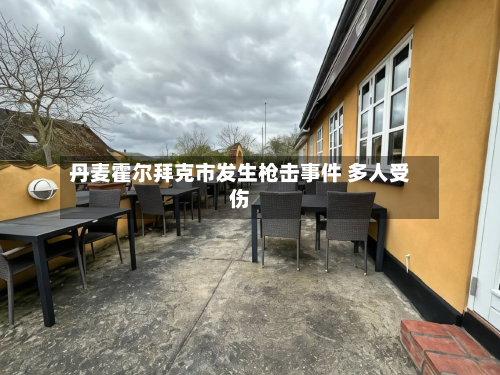 丹麦霍尔拜克市发生枪击事件 多人受伤