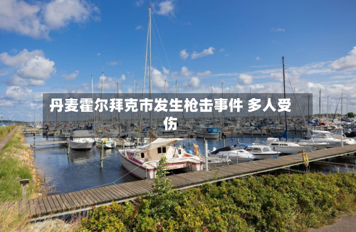 丹麦霍尔拜克市发生枪击事件 多人受伤-第2张图片