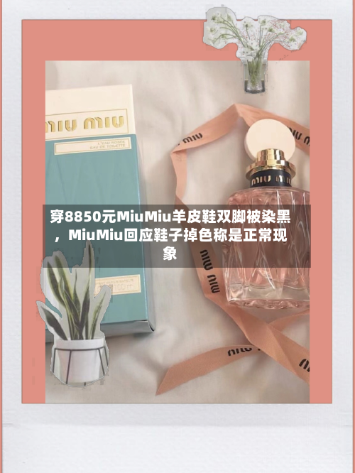 穿8850元MiuMiu羊皮鞋双脚被染黑，MiuMiu回应鞋子掉色称是正常现象