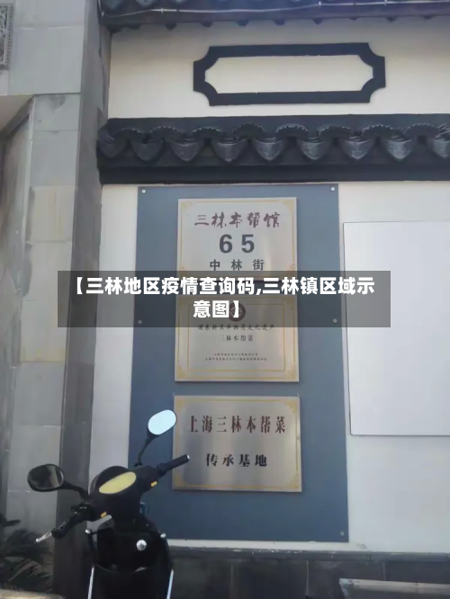 【三林地区疫情查询码,三林镇区域示意图】-第2张图片