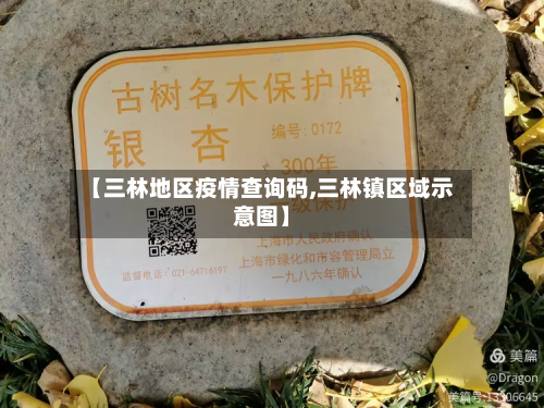 【三林地区疫情查询码,三林镇区域示意图】