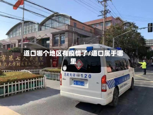 道口哪个地区有疫情了/道口属于哪里-第2张图片