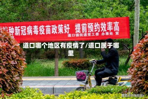 道口哪个地区有疫情了/道口属于哪里