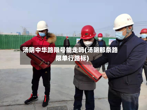 汤阴中华路限号能走吗(汤阴那条路限单行路标)