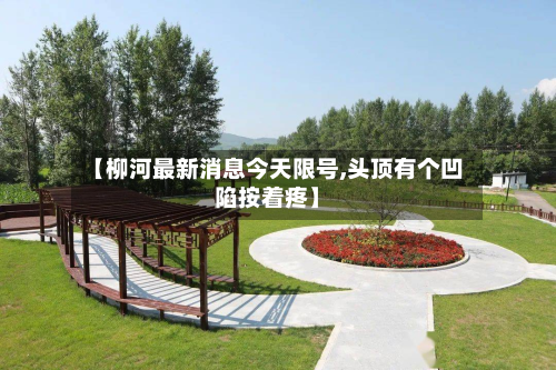 【柳河最新消息今天限号,头顶有个凹陷按着疼】-第2张图片