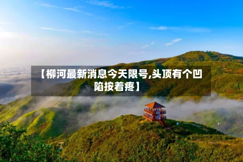 【柳河最新消息今天限号,头顶有个凹陷按着疼】-第3张图片