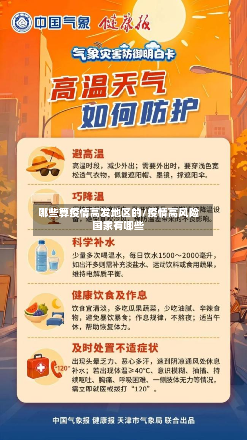 哪些算疫情高发地区的/疫情高风险国家有哪些