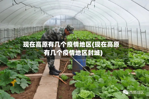 现在高原有几个疫情地区(现在高原有几个疫情地区封城)-第2张图片