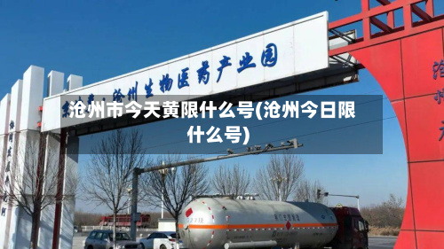 沧州市今天黄限什么号(沧州今日限什么号)-第3张图片