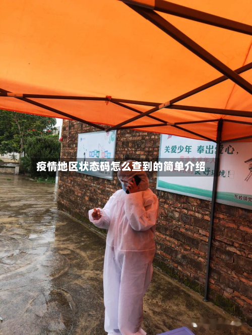 疫情地区状态码怎么查到的简单介绍