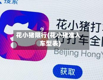 花小猪限行(花小猪准入车型表)-第2张图片