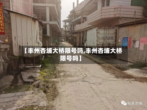 【丰州杏埔大桥限号吗,丰州杏埔大桥限号吗】-第2张图片