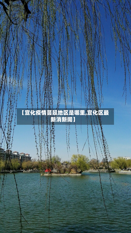 【宣化疫情蔓延地区是哪里,宣化区最新消新闻】-第3张图片