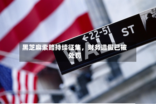 黑芝麻索赔持续征集，财务造假已被处罚-第2张图片