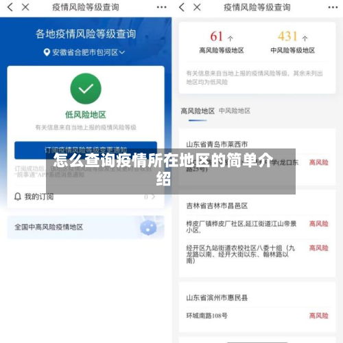 怎么查询疫情所在地区的简单介绍