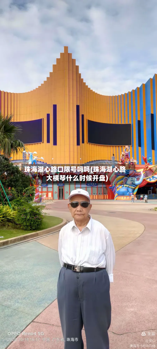 珠海湖心路口限号吗吗(珠海湖心路大横琴什么时候开盘)-第2张图片