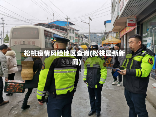 松桃疫情风险地区查询(松桃最新新闻)-第2张图片