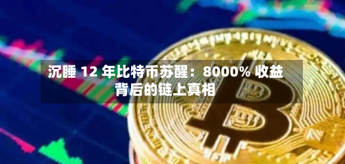 沉睡 12 年比特币苏醒：8000% 收益背后的链上真相-第2张图片