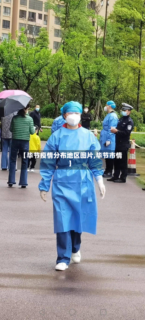 【毕节疫情分布地区图片,毕节市情】-第3张图片
