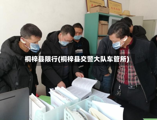 桐梓县限行(桐梓县交警大队车管所)-第3张图片