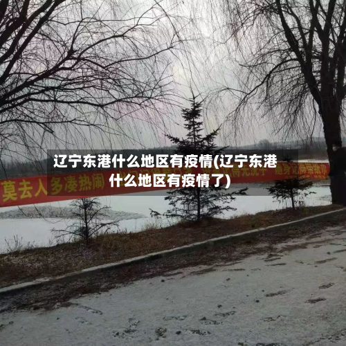 辽宁东港什么地区有疫情(辽宁东港什么地区有疫情了)