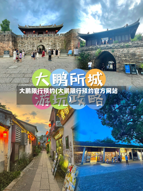 大鹏限行预约(大鹏限行预约官方网站)